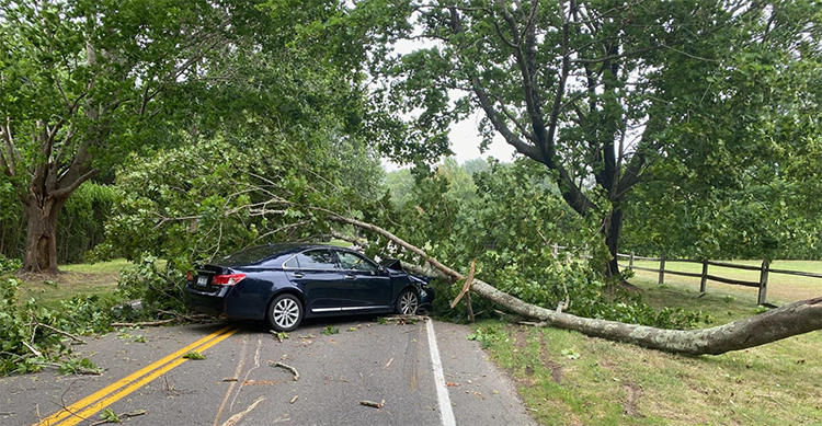 Tropical Storm Isaias On Long Island Aftermath